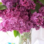 vaseoflilacs