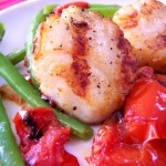 closeupscallop-1