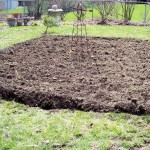 Dirt