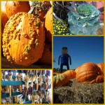 Picnikcollage-9