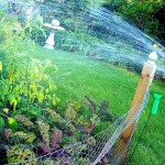 hose