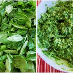 Picnikcollage-1324