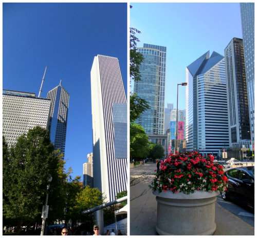 Chicago Gourmet 2013