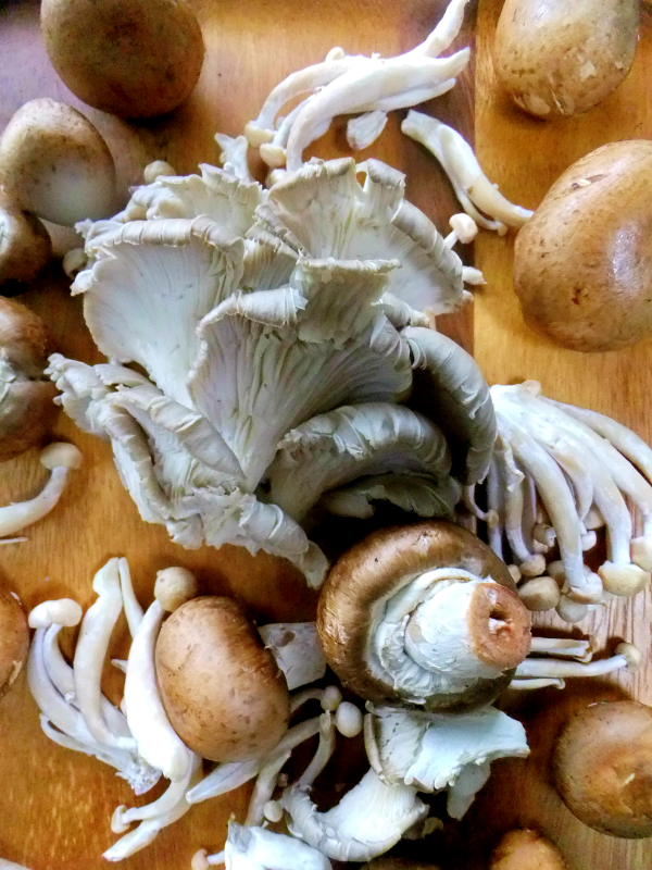 assorted raw mushrooms