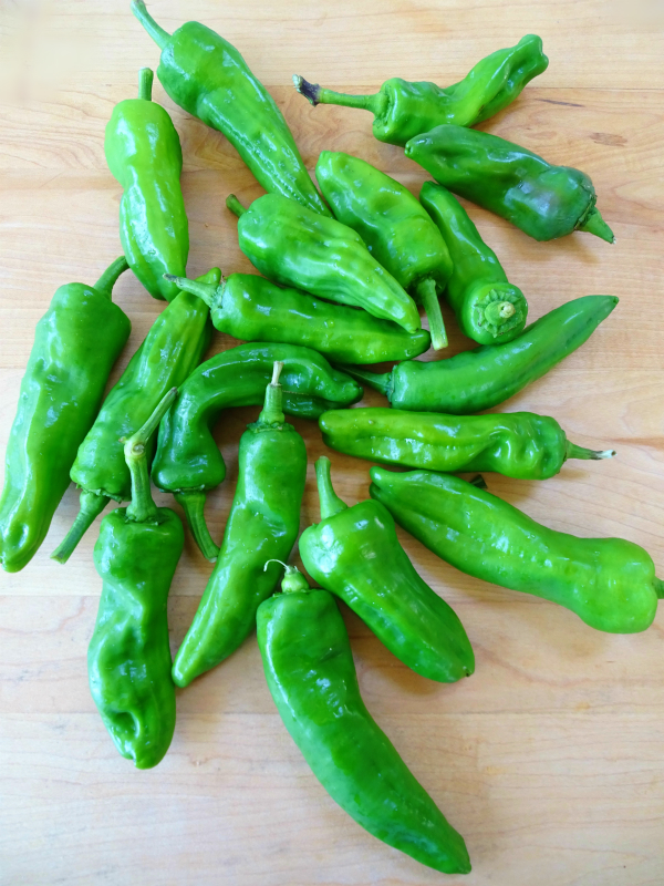 melrose peppers