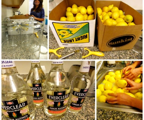 Making limoncello