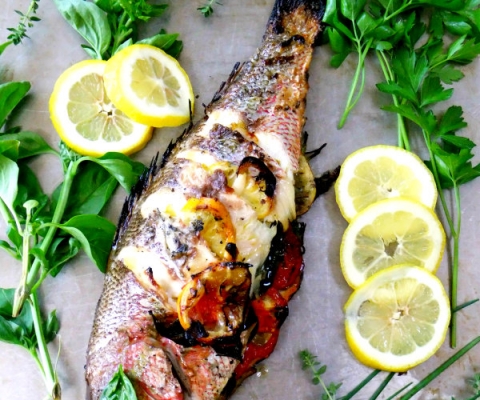 grilled red snapper